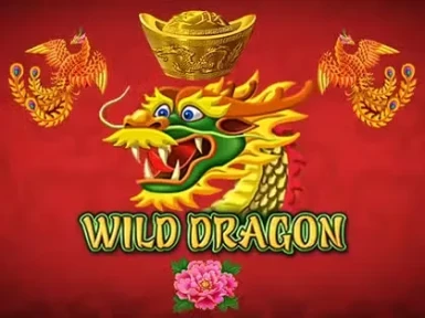 Mad Casino screenshot